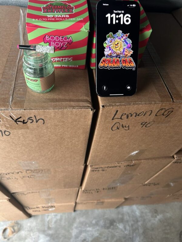 Bodega boyz shorties